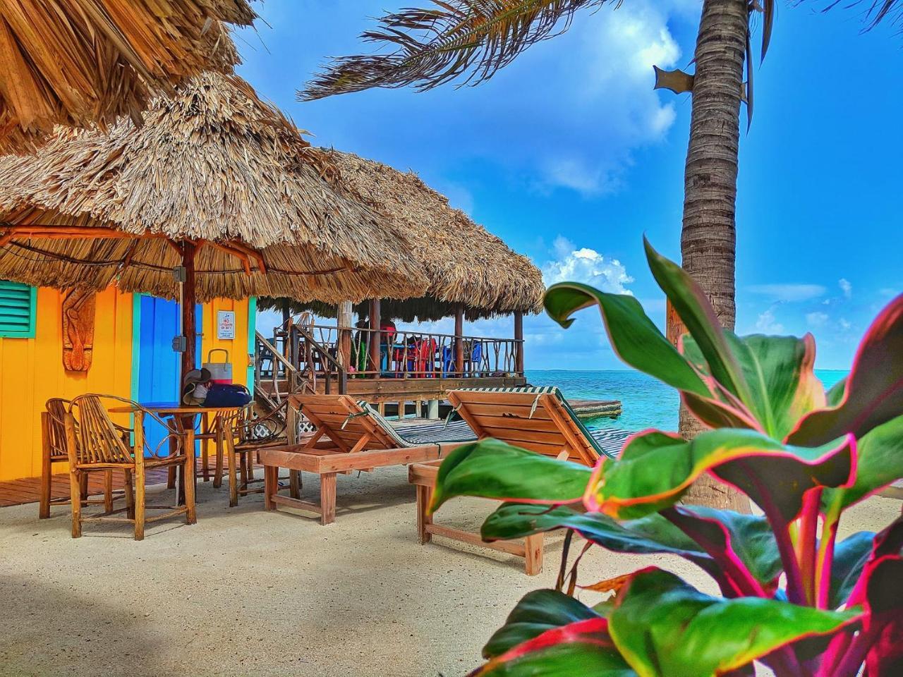 King Lewey'S Island Resort Placencia Buitenkant foto